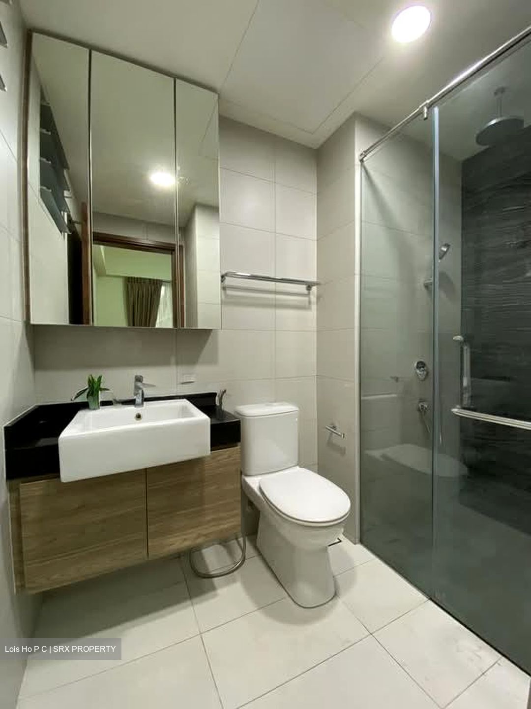 Whitehaven (D5), Apartment #564127081